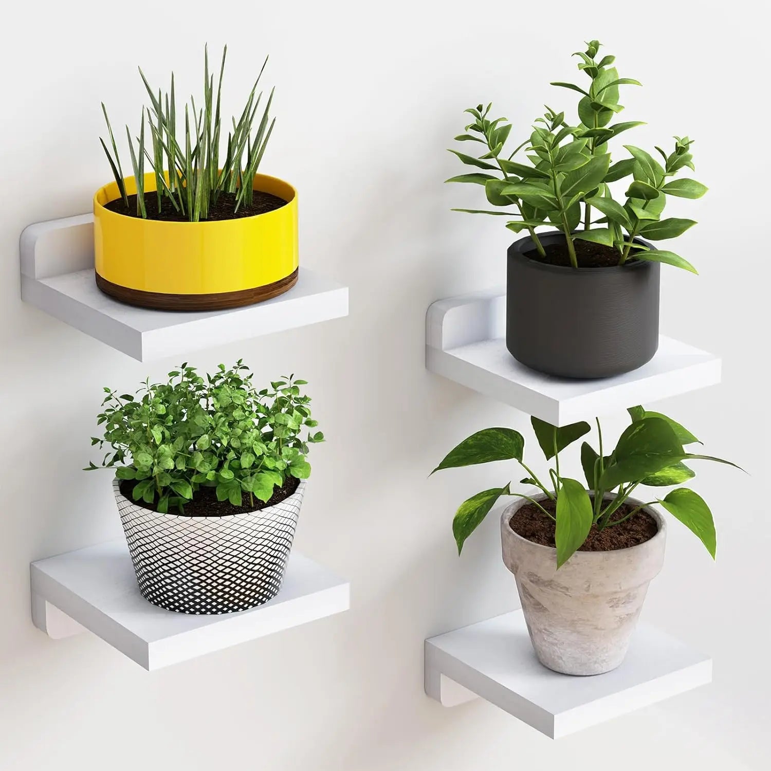 MiniVista™ Floating Display Shelves