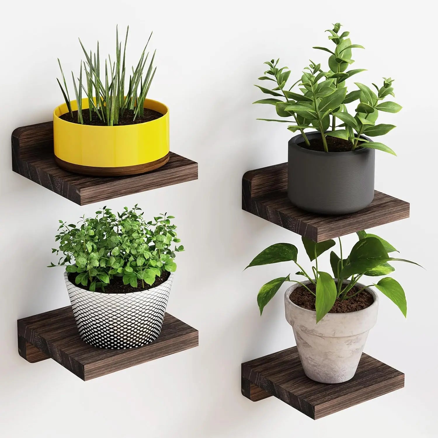MiniVista™ Floating Display Shelves