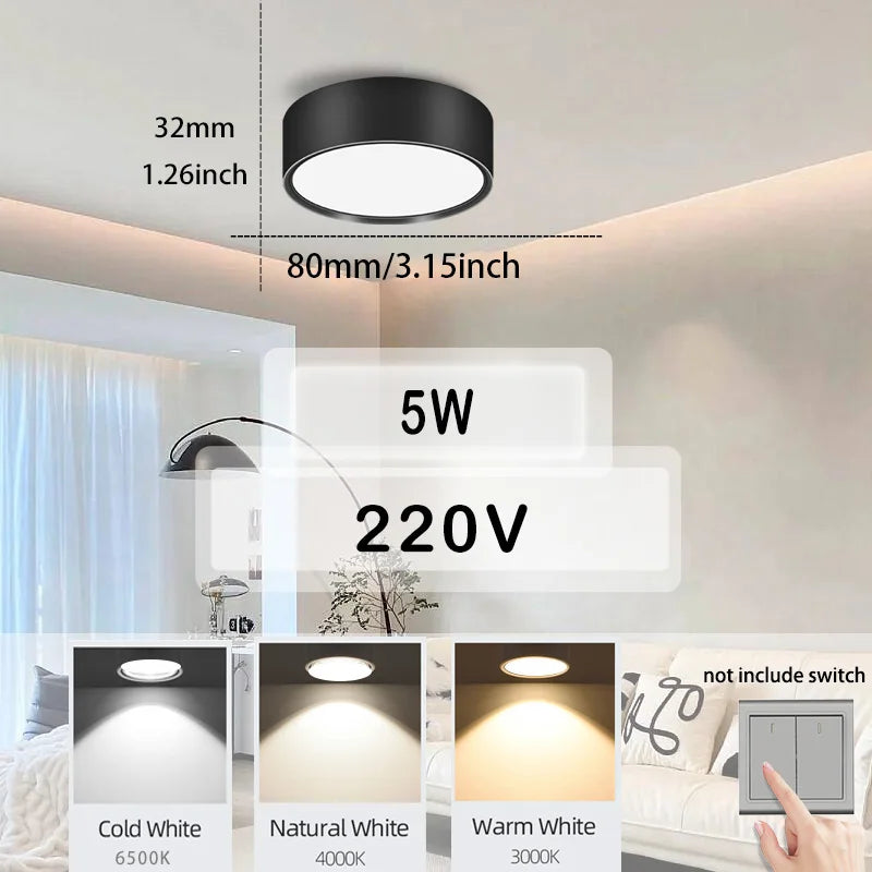 AquaShield™ Minimalist Waterproof Ceiling Light